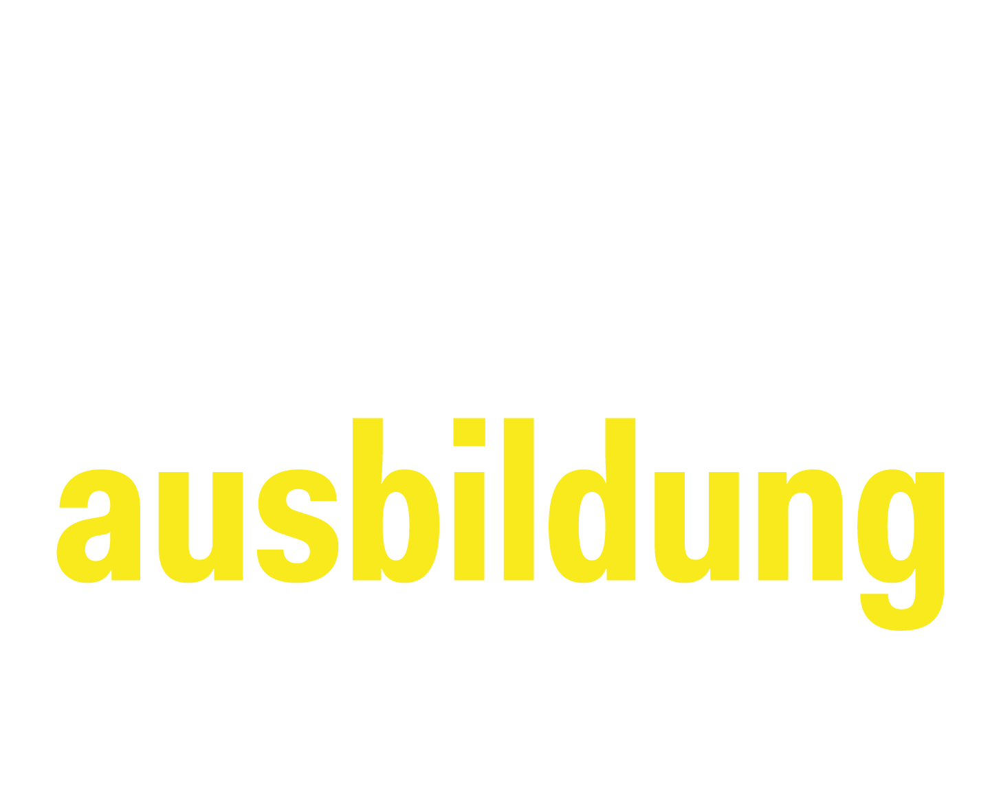 Logo nacht der Ausbildung Lippe